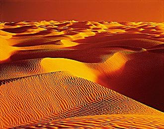 Fami通电击游戏大奖获奖名单公布 《艾尔登法环》再获年度最佳